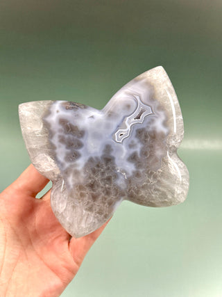 DRUZY AGATE BUTTERFLY - EXCLUSIVE QUALITY (3) The Crystal Avenues 