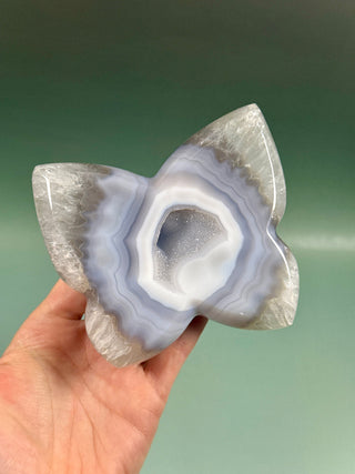 DRUZY AGATE BUTTERFLY - EXCLUSIVE QUALITY (3) The Crystal Avenues 