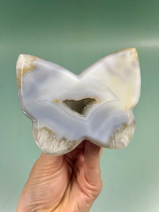 DRUZY AGATE BUTTERFLY - EXCLUSIVE QUALITY (4) The Crystal Avenues 