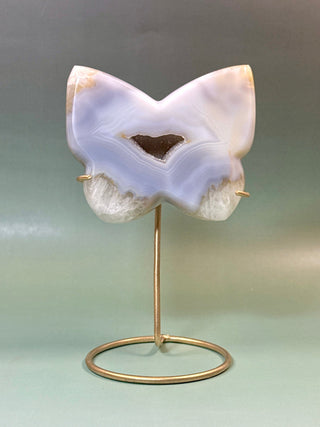 DRUZY AGATE BUTTERFLY - EXCLUSIVE QUALITY (4) The Crystal Avenues 