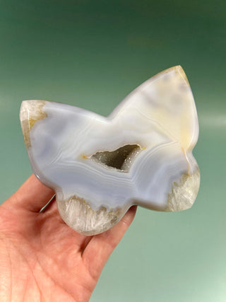 DRUZY AGATE BUTTERFLY - EXCLUSIVE QUALITY (4) The Crystal Avenues 