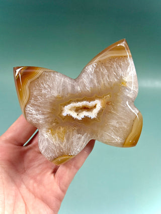DRUZY AGATE BUTTERFLY - EXCLUSIVE QUALITY (5) The Crystal Avenues 