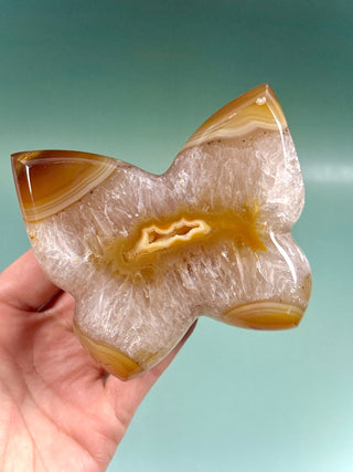 DRUZY AGATE BUTTERFLY - EXCLUSIVE QUALITY (5) The Crystal Avenues 