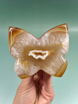 DRUZY AGATE BUTTERFLY - EXCLUSIVE QUALITY (5) The Crystal Avenues 