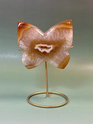 DRUZY AGATE BUTTERFLY - EXCLUSIVE QUALITY (5) The Crystal Avenues 