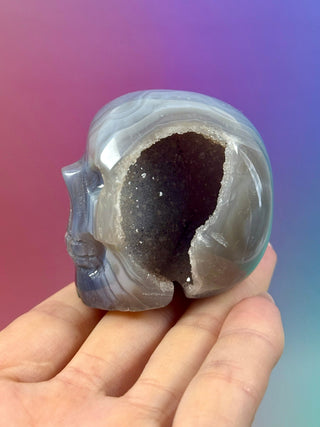 DRUZY AGATE SKULL (3) The Crystal Avenues 