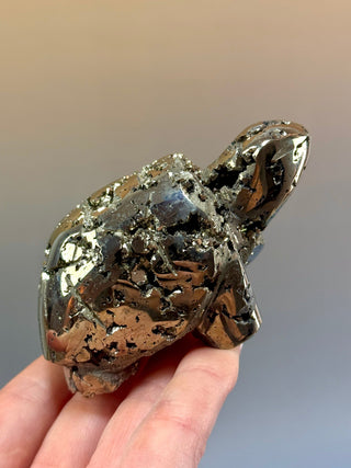DRUZY PYRITE TURTLE (1) Heart The Crystal Avenues 