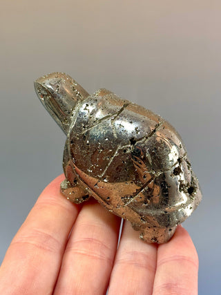 DRUZY PYRITE TURTLE (5) Heart The Crystal Avenues 
