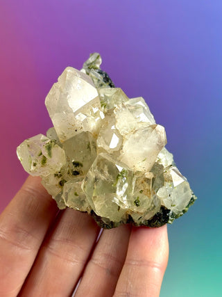 FAIRY FORREST EPIDOTE W. QUARTZ (10) Cluster The Crystal Avenues 