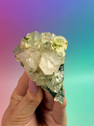 FAIRY FORREST EPIDOTE W. QUARTZ (10) Cluster The Crystal Avenues 
