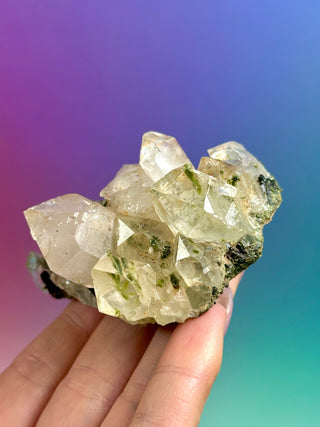 FAIRY FORREST EPIDOTE W. QUARTZ (10) Cluster The Crystal Avenues 