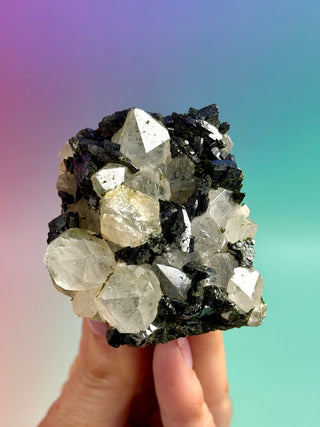 FAIRY FORREST EPIDOTE W. QUARTZ (11) Cluster The Crystal Avenues 