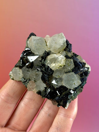 FAIRY FORREST EPIDOTE W. QUARTZ (11) Cluster The Crystal Avenues 