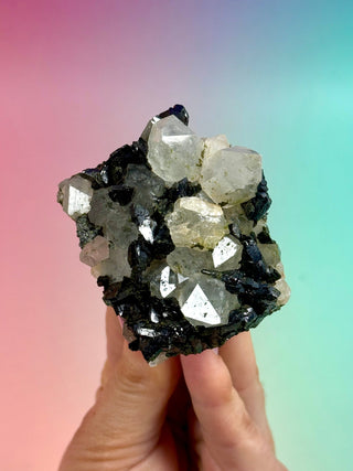 FAIRY FORREST EPIDOTE W. QUARTZ (11) Cluster The Crystal Avenues 