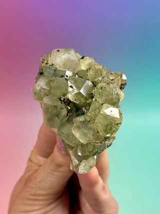 FAIRY FORREST EPIDOTE W. QUARTZ (12) Cluster The Crystal Avenues 