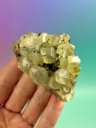 FAIRY FORREST EPIDOTE W. QUARTZ (12) Cluster The Crystal Avenues 