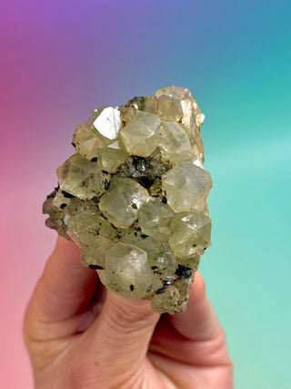 FAIRY FORREST EPIDOTE W. QUARTZ (12) Cluster The Crystal Avenues 