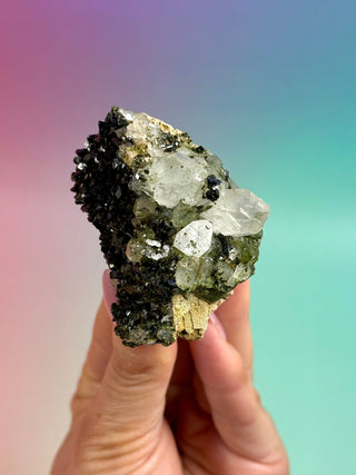 FAIRY FORREST EPIDOTE W. QUARTZ (13) Cluster The Crystal Avenues 