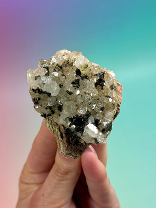 FAIRY FORREST EPIDOTE W. QUARTZ (16) Cluster The Crystal Avenues 