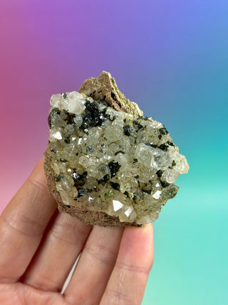 FAIRY FORREST EPIDOTE W. QUARTZ (16) Cluster The Crystal Avenues 