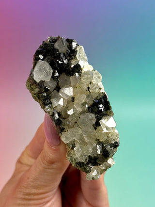 FAIRY FORREST EPIDOTE W. QUARTZ (17) Cluster The Crystal Avenues 