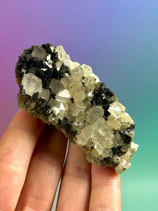 FAIRY FORREST EPIDOTE W. QUARTZ (17) Cluster The Crystal Avenues 