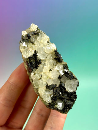 FAIRY FORREST EPIDOTE W. QUARTZ (17) Cluster The Crystal Avenues 