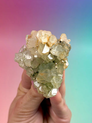 FAIRY FORREST EPIDOTE W. QUARTZ (18) Cluster The Crystal Avenues 