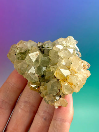 FAIRY FORREST EPIDOTE W. QUARTZ (18) Cluster The Crystal Avenues 
