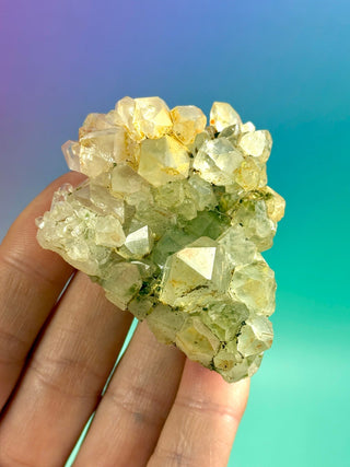 FAIRY FORREST EPIDOTE W. QUARTZ (18) Cluster The Crystal Avenues 