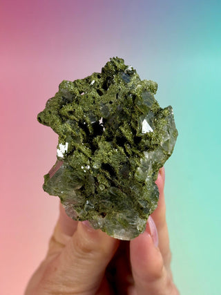FAIRY FORREST EPIDOTE W. QUARTZ (19) Cluster The Crystal Avenues 