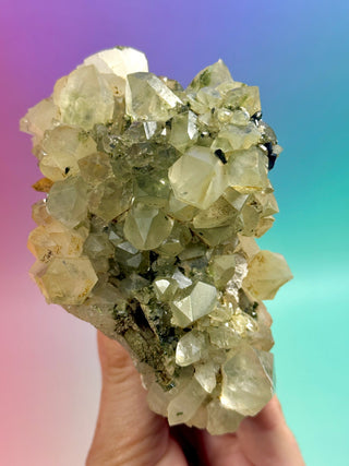 FAIRY FORREST EPIDOTE W. QUARTZ (2) Cluster The Crystal Avenues 