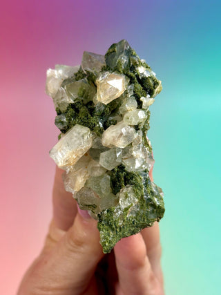 FAIRY FORREST EPIDOTE W. QUARTZ (20) Cluster The Crystal Avenues 