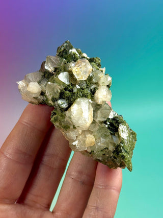 FAIRY FORREST EPIDOTE W. QUARTZ (20) Cluster The Crystal Avenues 