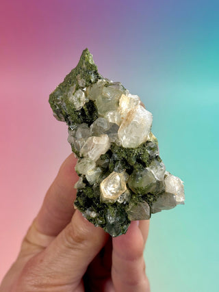 FAIRY FORREST EPIDOTE W. QUARTZ (20) Cluster The Crystal Avenues 