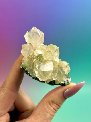 FAIRY FORREST EPIDOTE W. QUARTZ (21) Cluster The Crystal Avenues 