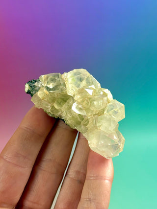 FAIRY FORREST EPIDOTE W. QUARTZ (21) Cluster The Crystal Avenues 