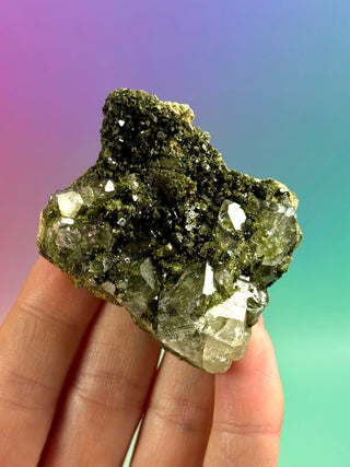 FAIRY FORREST EPIDOTE W. QUARTZ (22) Cluster The Crystal Avenues 