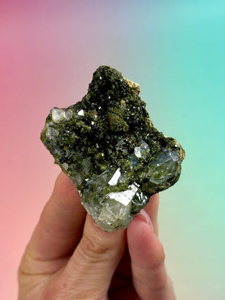 FAIRY FORREST EPIDOTE W. QUARTZ (22) Cluster The Crystal Avenues 