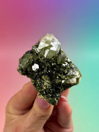 FAIRY FORREST EPIDOTE W. QUARTZ (22) Cluster The Crystal Avenues 