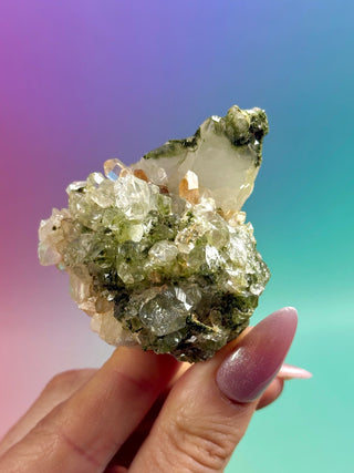 FAIRY FORREST EPIDOTE W. QUARTZ (23) Cluster The Crystal Avenues 
