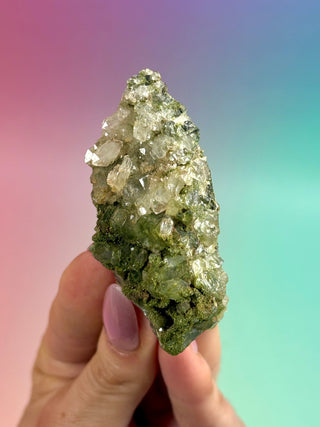 FAIRY FORREST EPIDOTE W. QUARTZ (24) Cluster The Crystal Avenues 