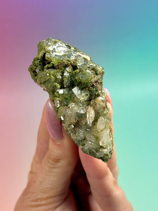 FAIRY FORREST EPIDOTE W. QUARTZ (24) Cluster The Crystal Avenues 