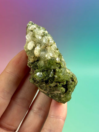 FAIRY FORREST EPIDOTE W. QUARTZ (24) Cluster The Crystal Avenues 