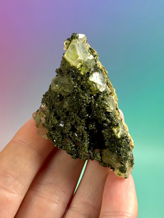 FAIRY FORREST EPIDOTE W. QUARTZ (25) Cluster The Crystal Avenues 
