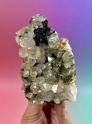 FAIRY FORREST EPIDOTE W. QUARTZ (3) Cluster The Crystal Avenues 