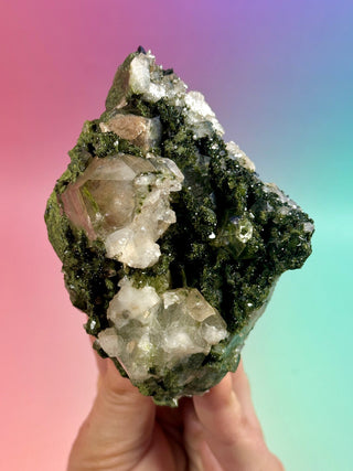 FAIRY FORREST EPIDOTE W. QUARTZ (4) Cluster The Crystal Avenues 
