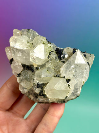 FAIRY FORREST EPIDOTE W. QUARTZ (5) Cluster The Crystal Avenues 