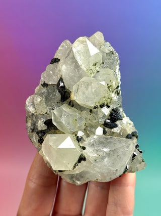 FAIRY FORREST EPIDOTE W. QUARTZ (5) Cluster The Crystal Avenues 