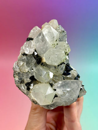 FAIRY FORREST EPIDOTE W. QUARTZ (5) Cluster The Crystal Avenues 